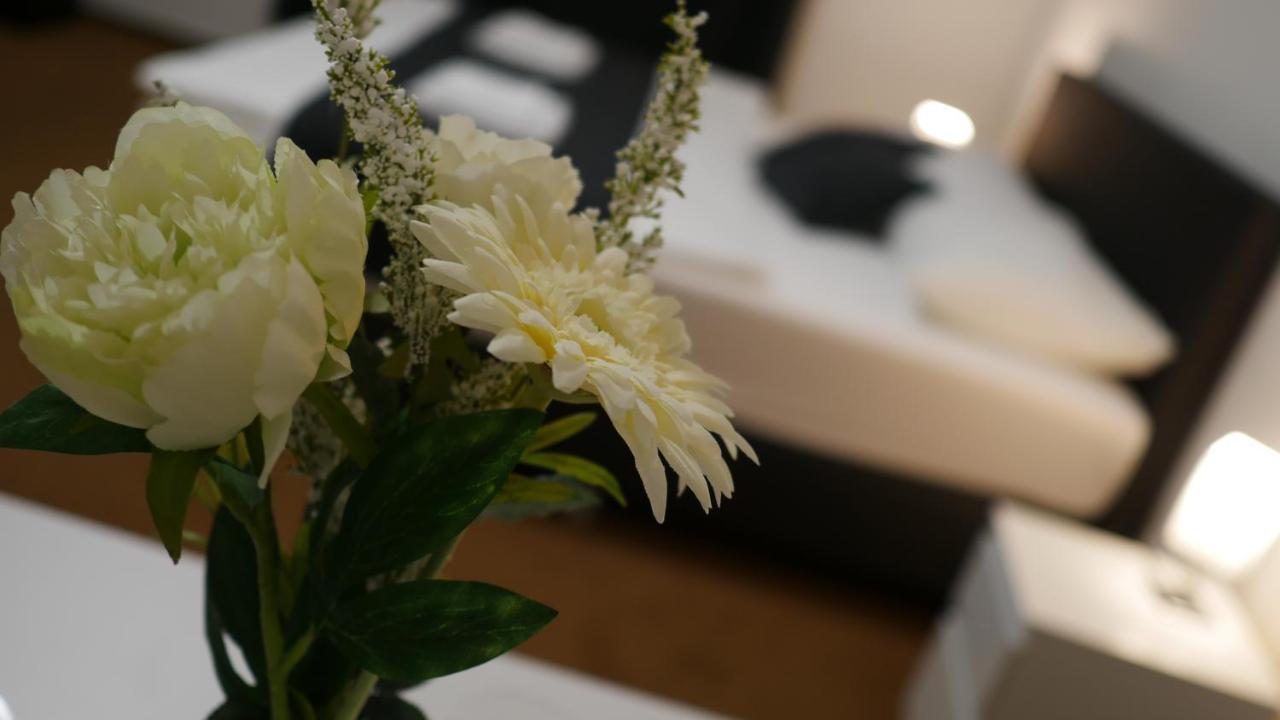 酒店 白小马酒店 Třeboň